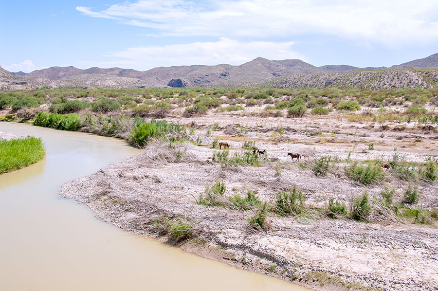 The view of Mexico across the Rio Grande.