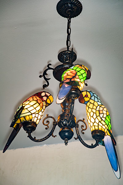 Parrot chandelier.